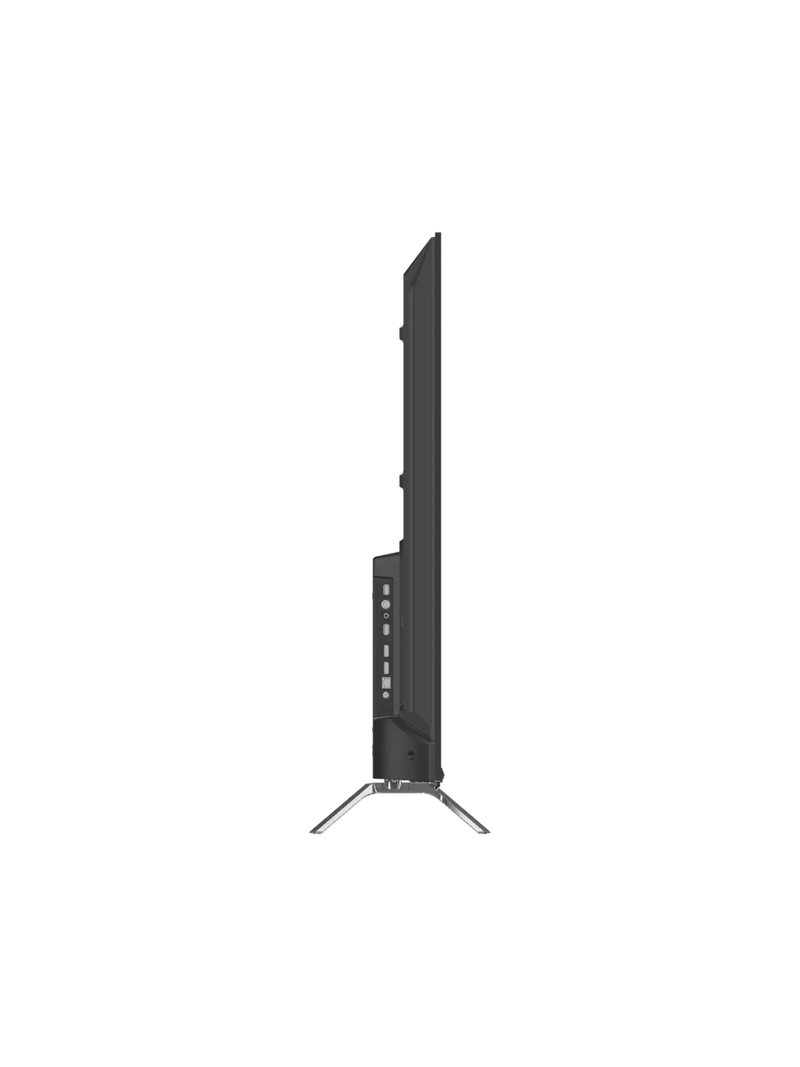 302591-2--2-.png