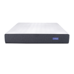 R85009--2-