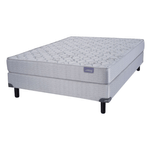 R85099--1-
