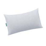 R86005-1 -2-