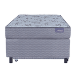 R10203-2--2-