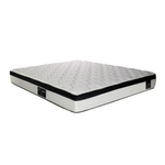 R85195-2
