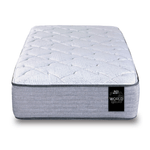 R85100-3 -1-